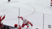 Happy Red Wings GIF by NHL