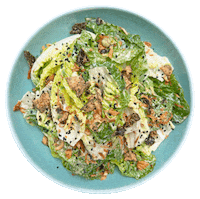 Caesar Salad Miso Sticker by Major Food Group