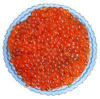 Toast Trout Roe Sticker by Major Food Group