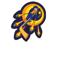 Ice Hockey Team Sticker by BX Rink