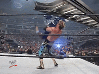 wwe sports wwe wrestling summerslam GIF