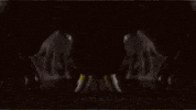 Art Film GIF by jorgemariozuleta
