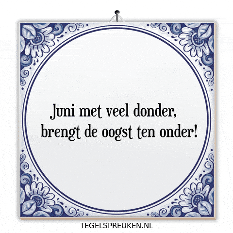 Humor Storm GIF by Tegelspreuken.nl