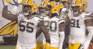 Regular Season Football GIF by NFL