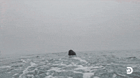 Nandi's Third Breach