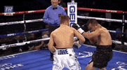 toprank fight boxing fighting espn GIF