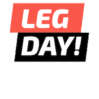 WellAcademia well academiawell vemprawell wellacademia Sticker