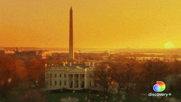 Action Planet | discovery+