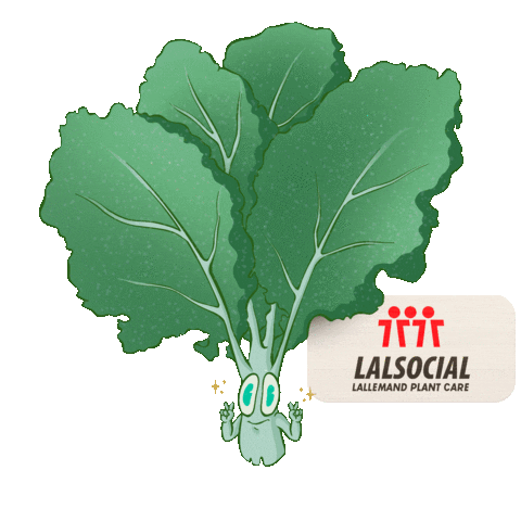 Lettuce Sustentavel Sticker by Lallemand Plant Care Brasil