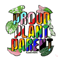 Pride Canberra Sticker by Planti Peeps