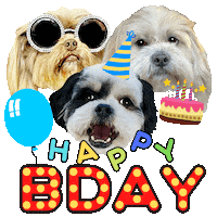 Happy Birthday Bday Cake Sticker