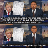 GIF by The Daily Show with Trevor Noah
