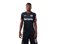 Bayer 04 Werkself Sticker by Bayer 04 Leverkusen