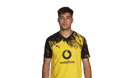 Borussia Dortmund Sticker by Bundesliga