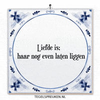 Humor Nl GIF by Tegelspreuken.nl