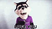 Sbuniv GIF by Southwest Baptist University