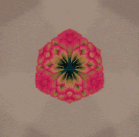ping pong color GIF by Dominic Ewan