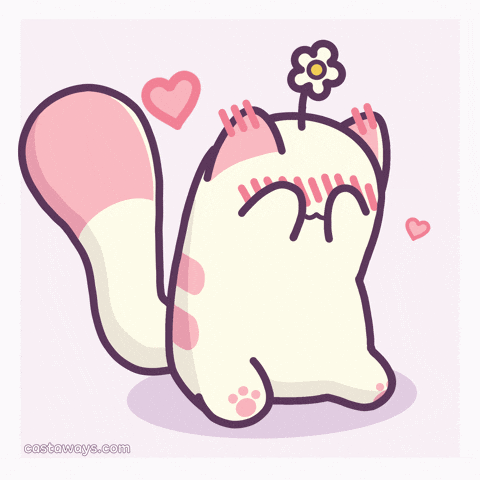 Cat Love GIF by Castaways