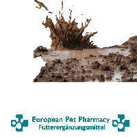 Epp Canicross Sticker by Europeanpetpharmacy