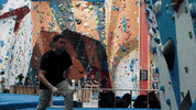 GIF by Great Big Story
