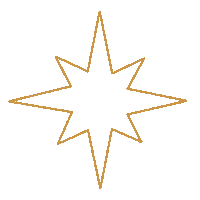 Pink Star Sticker