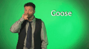 sign language GIF by Sign with Robert