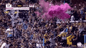 soccer celebrate GIF by USL