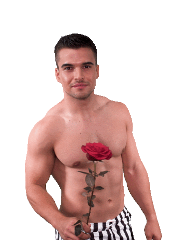 The Bachelorette Dating Sticker by RTLde