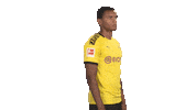 Proud Line Up Sticker by Bundesliga