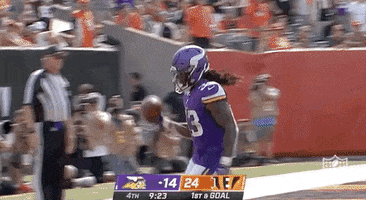 Minnesota Vikings Football GIF by NFL