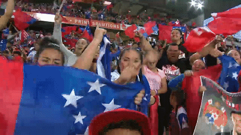 world cup league GIF by NRL