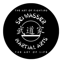 Artistoflife Sticker by Seiwasser