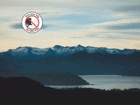 You Can Wow GIF by FranchiseONE.de