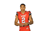 Utah Utes Sticker by Utah Football