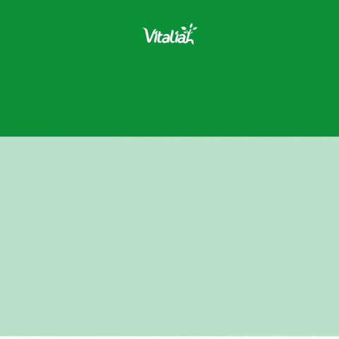 Vitaliah1 giphyupload GIF
