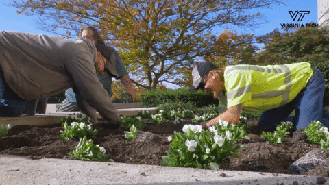 VTFacilities giphyupload flowers planting cpif GIF