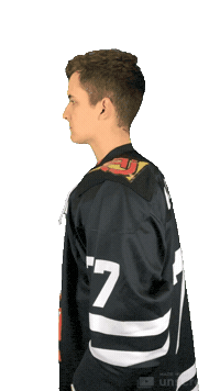 Hockeypunks Sticker by ledoritulys.lt
