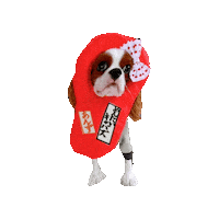 Dogs Cavalierkingcharlesspaniel Sticker