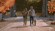 Golden Retriever Fall GIF by Hallmark Channel
