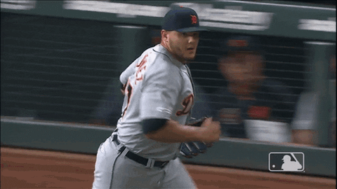 Major League Baseball Reaction GIF by Detroit Tigers
