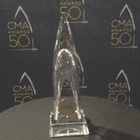 cma fest 2016 GIF by CMA Fest: The Music Event of Summer