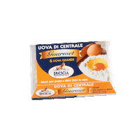 Centrale_Latte_Brescia latte brescia ricette uova Sticker