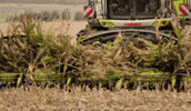 Agriculture Farmer GIF by CLAAS