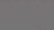 GIF by University of Pittsburgh
