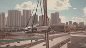 GIF by TheCollectionFL