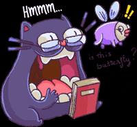 Dwarf-Factory cat what cats books GIF