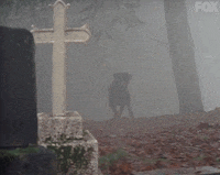 x files GIF by The X-Files