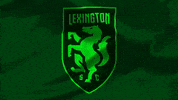 United Football GIF by USL