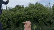 dopamine GIF by bas