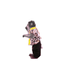 Fun Monkey Sticker